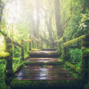 我的女友蒋宇斯
